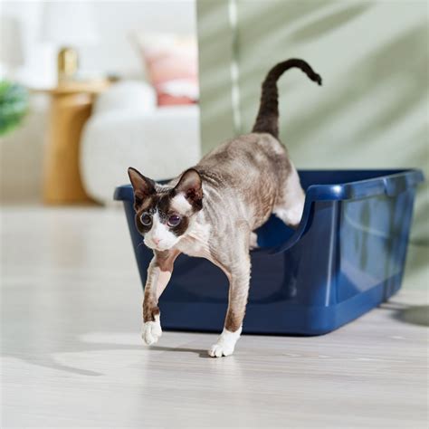 frisco stainless steel cat litter box|adult cat litter box.